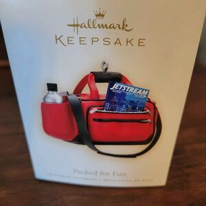 2009 Hallmark Travelers Ornament Packed for Fun